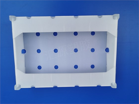 中空板周轉(zhuǎn)箱