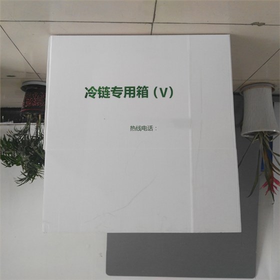 冷鏈中空板周轉(zhuǎn)箱 冷鏈中空板周轉(zhuǎn)箱