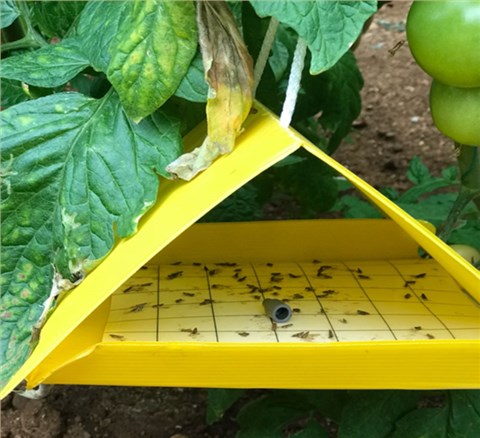 PP中空板防蚊架