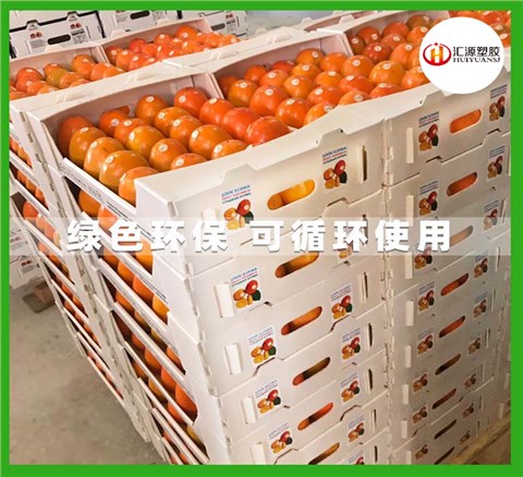 蔬菜水果包裝箱